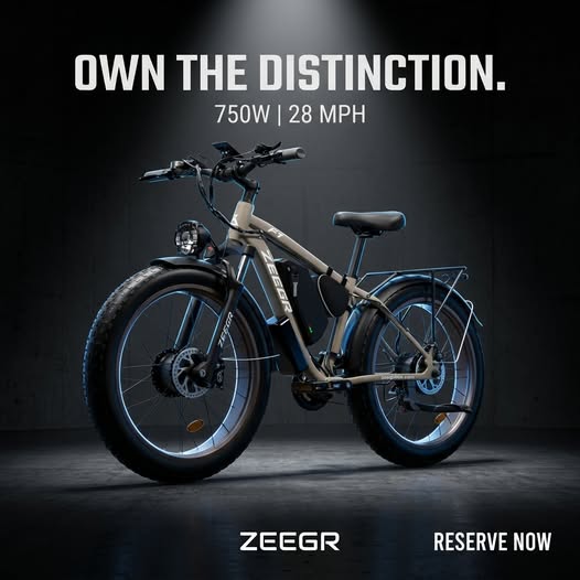 Commuter Ebike